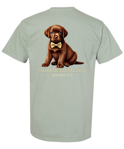 SD Chocolate Lab bow tie