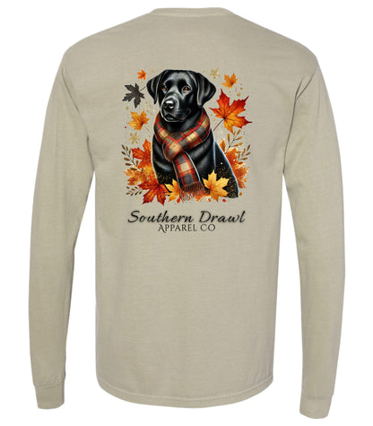 SD Fall Black Lab