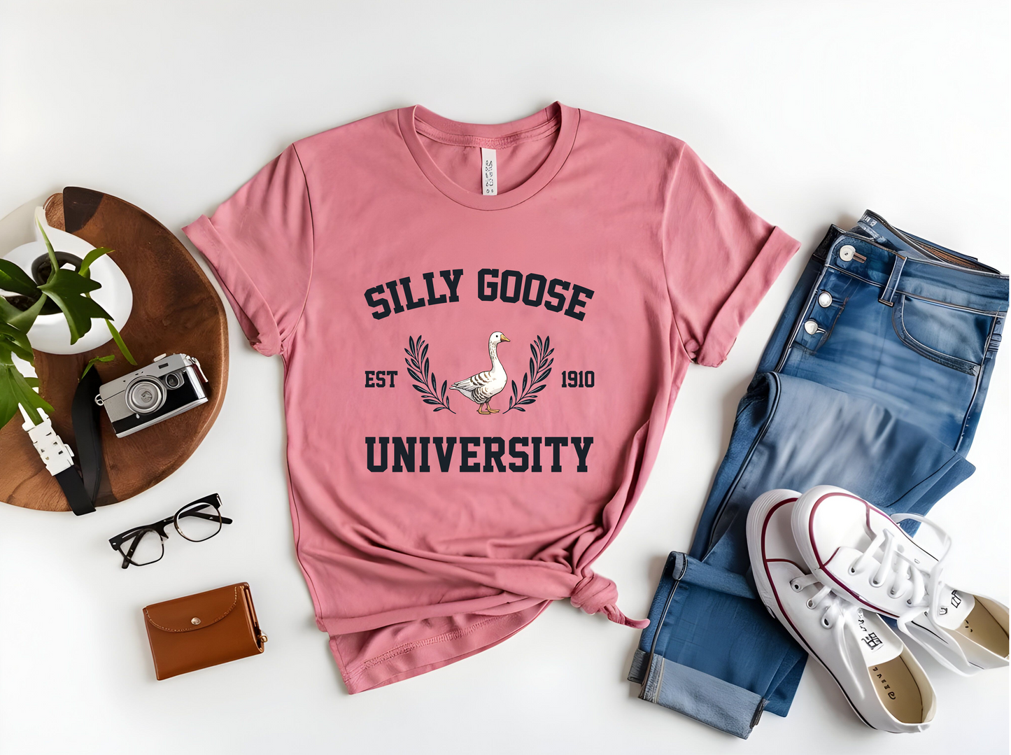 Silly Goose University